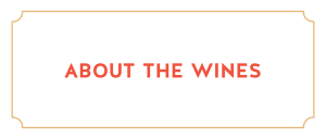 Website-Page-Mockup-OWM-wine-about--button Website-Page-Mockup-OWM-wine-about--button
